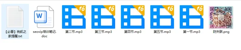 VIP课程-SEO优化教程-翼颢网络